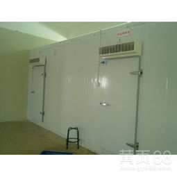 【福建保鮮庫設(shè)計(jì)專家_廈門蔬菜保鮮庫_漳州食品冷庫】-