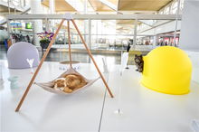 為忙碌的機(jī)場(chǎng)增添一分溫馨與可愛(ài) 寵物品牌pidan現(xiàn)身廈門(mén)機(jī)場(chǎng)