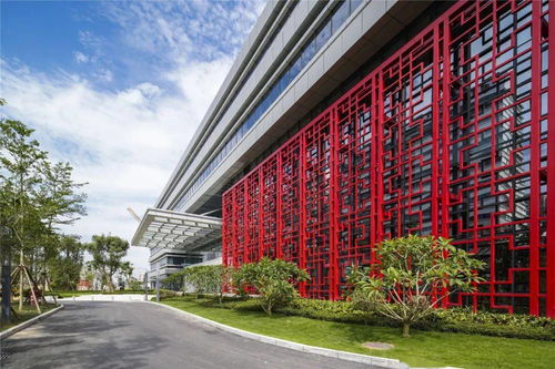 祝賀 最高榮譽花落廈門這家醫院