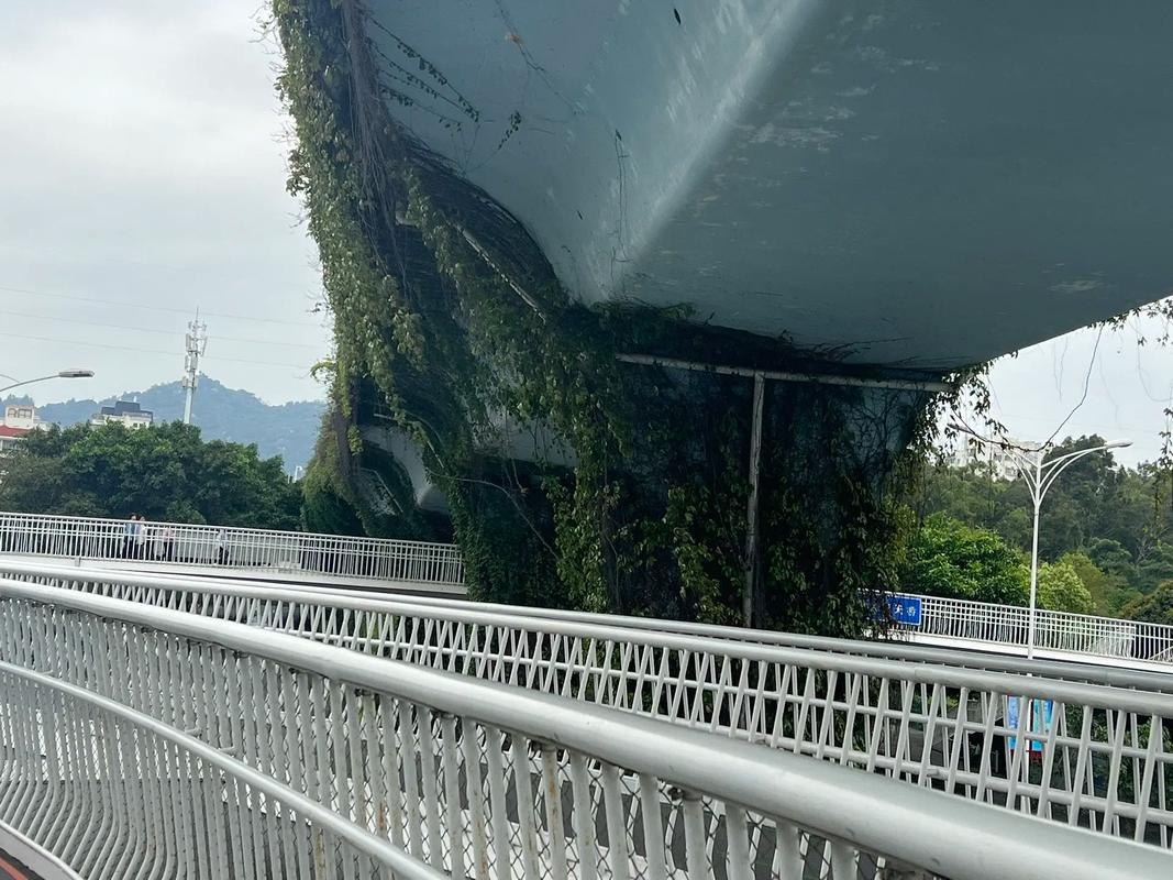 廈門 創新交通與設計的城市典范